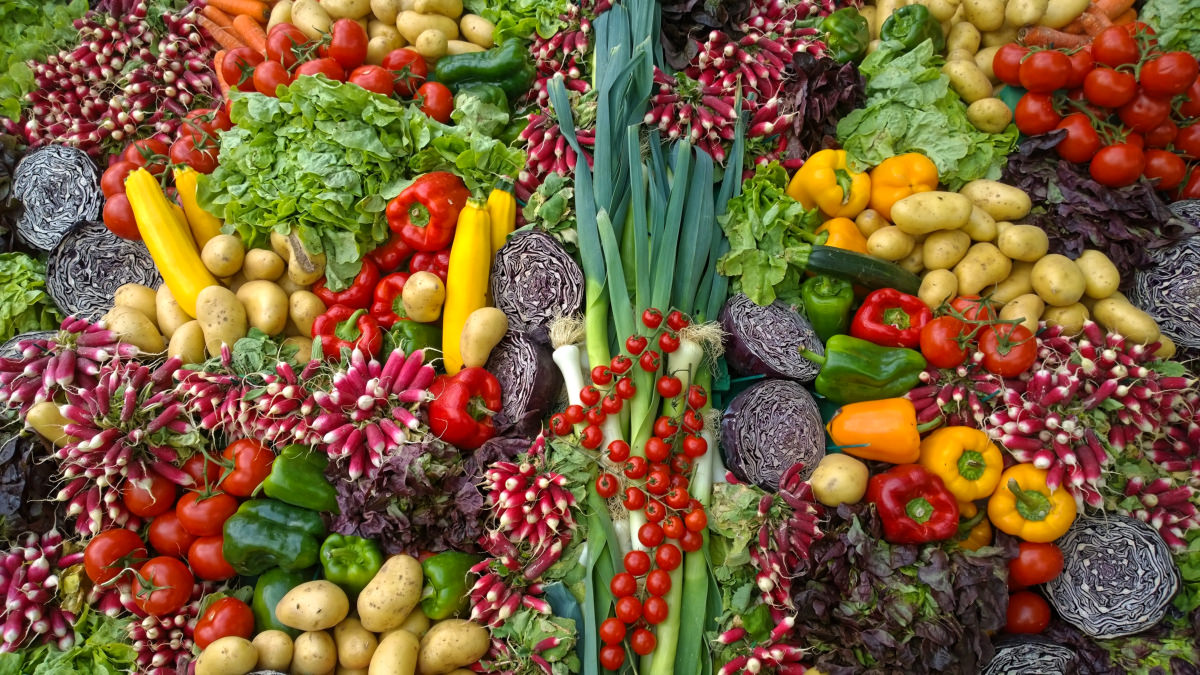 Frische Gemüsesorten